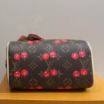 Louis Vuitton X Takashi Murakami Speedy Bandoulière 20 Brown 20Cm M13094 - Image 5