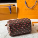 Louis Vuitton X Takashi Murakami Monogram Cerise Speedy 25 Gold Hardware Brown 25Cm - Image 5