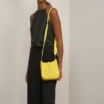 Hermes Evelyne Amazone Bag Lime 17cm - Image 5