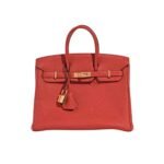 Hermes Birkin 25 Bag Togo Rouge Vermillon 25Cm
